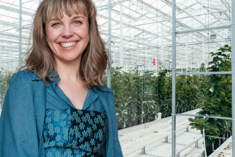 Greenhouse Life cycle Sustainable