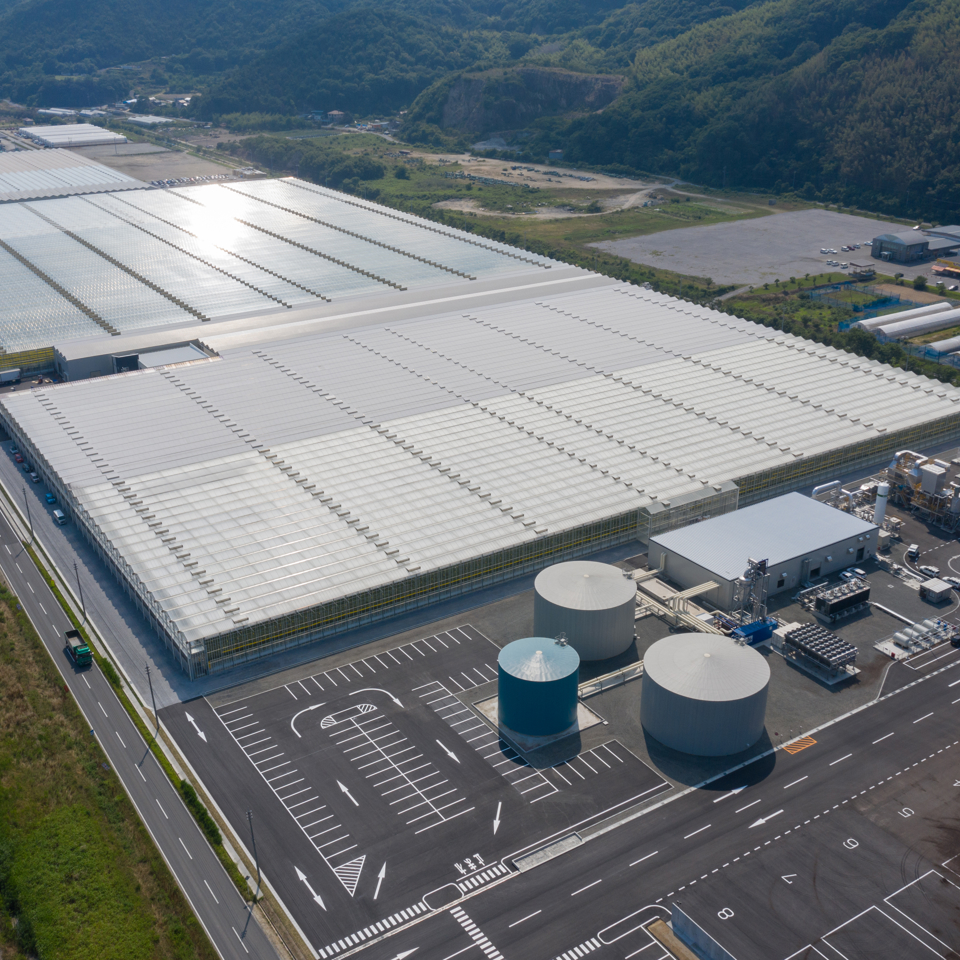 Large-scale high-tech greenhouse project in Japan built by Van der Hoeven