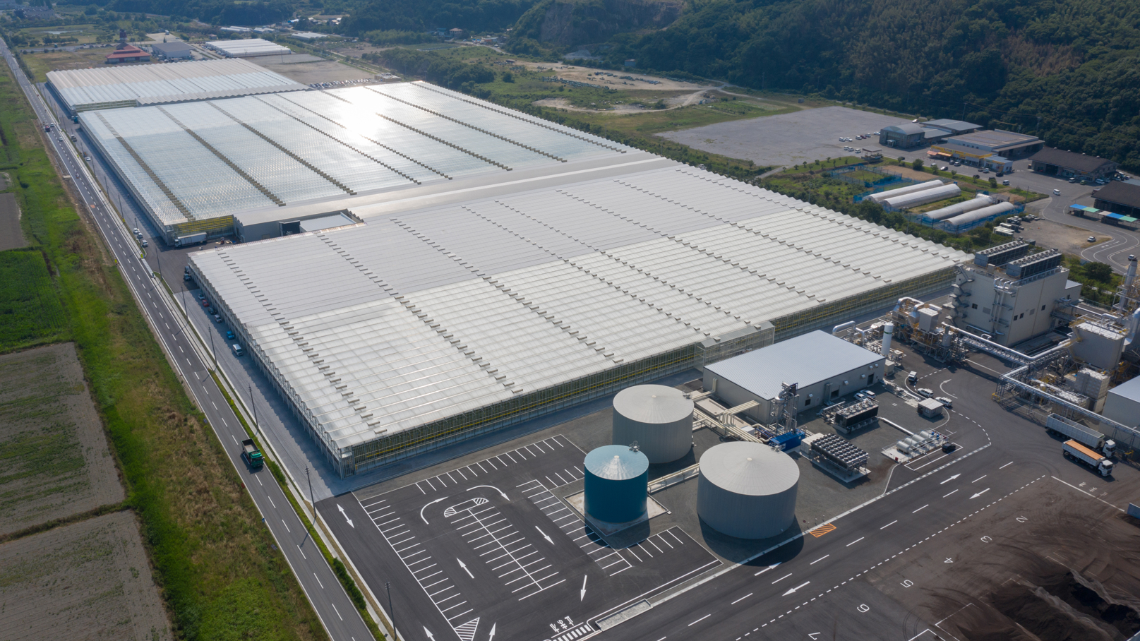 Large-scale high-tech greenhouse project in Japan built by Van der Hoeven