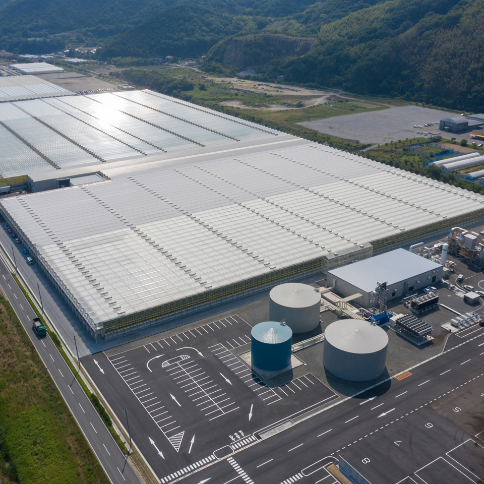 Aerial overview of Sara greenhouse project from June 2019