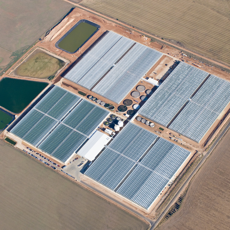 Drone view of Dvineripe greenhouse facility built by Van der Hoeven